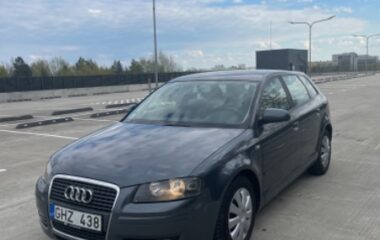 Audi A3 Hečbekas 1,9L 2006