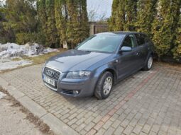 Audi A3 Hečbekas 1,6L 2007