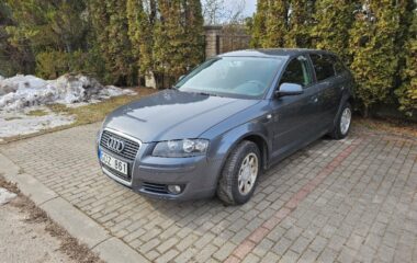 Audi A3 Hečbekas 1,6L 2007