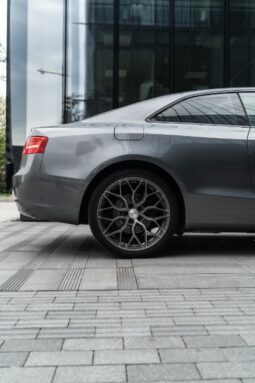 
										Audi A5 Kupė 2,0L 2014 pilnas									