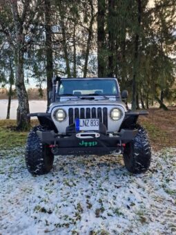 Jeep Wrangler 2003  4,0L Visureigis