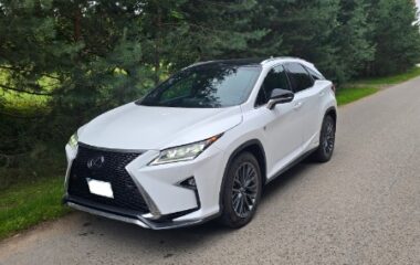 Lexus RX 450h 2019  3,5L Visureigis