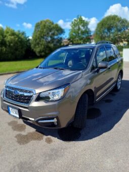 
										Subaru Forester 2017  2,5L Visureigis pilnas									