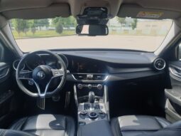 
										Alfa Romeo Giulia 2017  2,2L Sedanas pilnas									