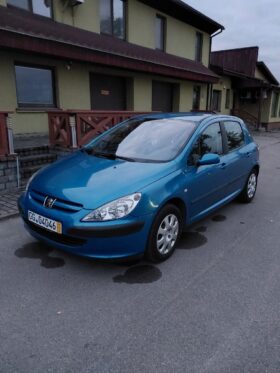 Peugeot 307 2003  1,6L Hečbekas