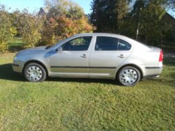 
										Skoda Octavia 2005  1,6L Sedanas pilnas									